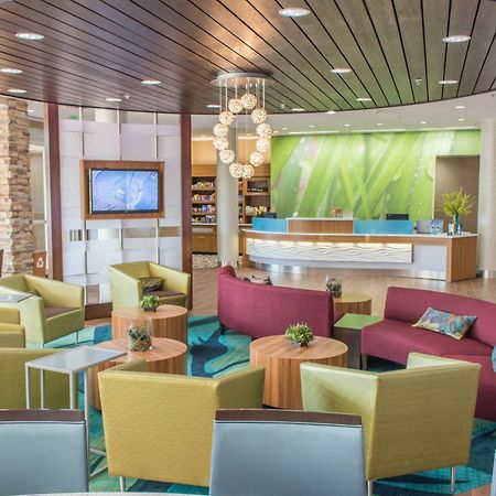Springhill Suites By Marriott Sumter Esterno foto